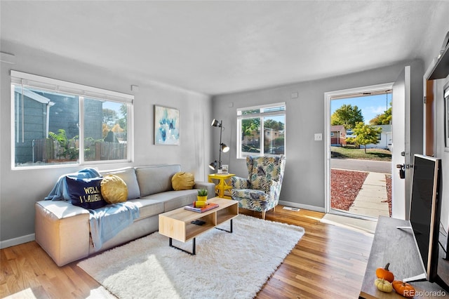 living room featuring light hardwood / wood-style floors