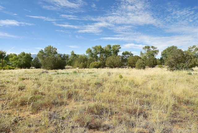10190 W County Road 190, Salida, CO 81201 - photo 29