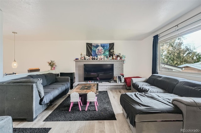 living room featuring light wood-type flooring