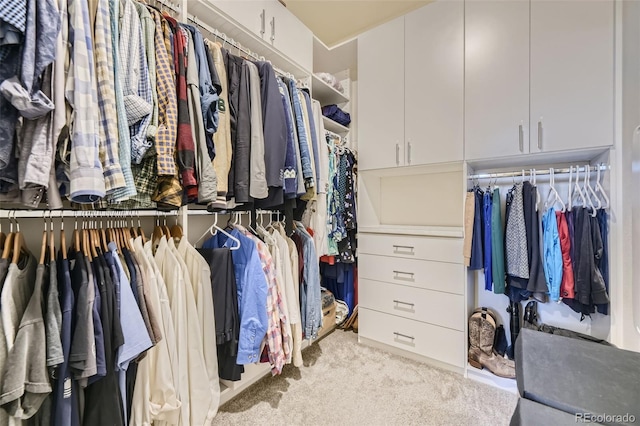 walk in closet featuring light carpet