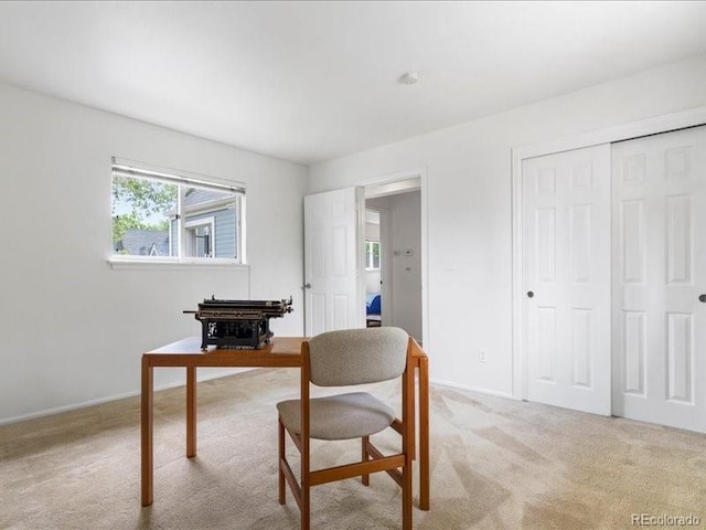 101 S Downing St Unit 8, Denver, CO 80209 - photo 19