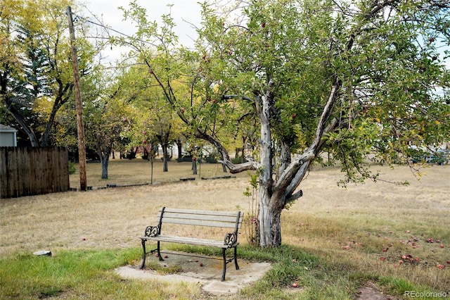 8895 Morton Rd, Niwot, CO 80503 - surrounding community