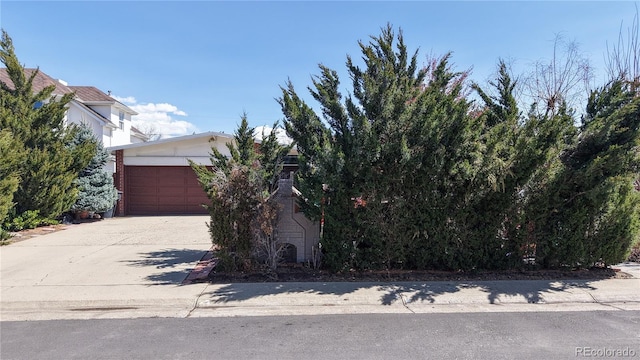 110 Forest St, Denver, CO 80220 - view of property hidden behind natural elements with an attached garage and driveway