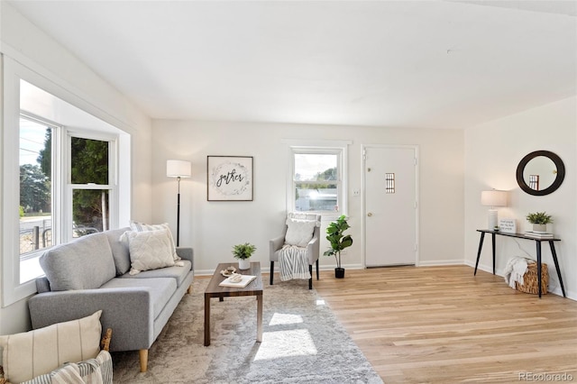 living room featuring light hardwood / wood-style floors