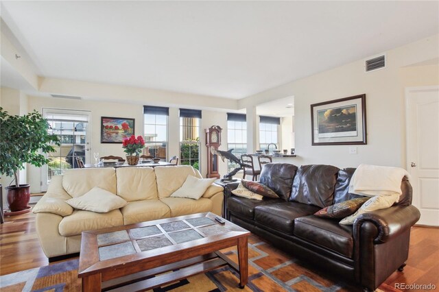 living room featuring dark hardwood / wood-style flooring and a healthy amount of sunlight