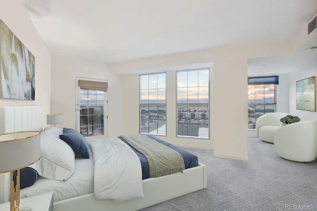 view of carpeted bedroom