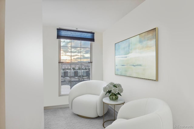 sitting room featuring carpet