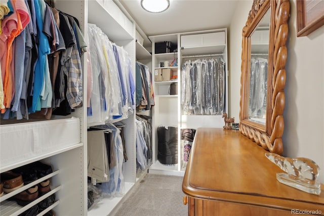 walk in closet with light colored carpet