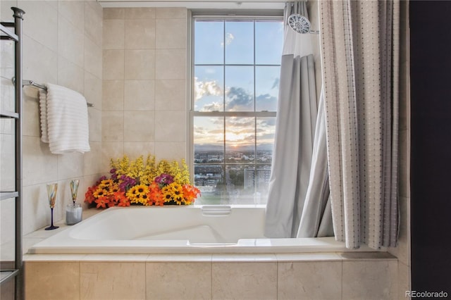 300 W 11th Ave Unit 18C, Denver, CO 80204 - view of full bathroom
