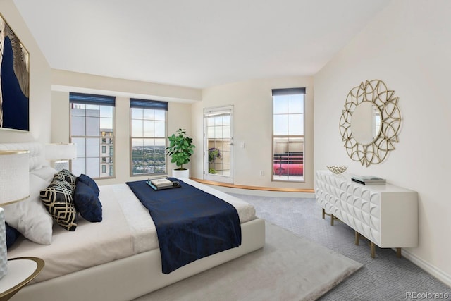 300 W 11th Ave Unit 18C, Denver, CO 80204 - bedroom featuring carpet floors, multiple windows, and baseboards