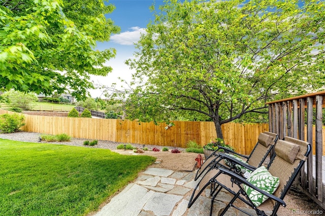 12000 Horseshoe Ln, Parker, CO 80138 - view of yard featuring a patio