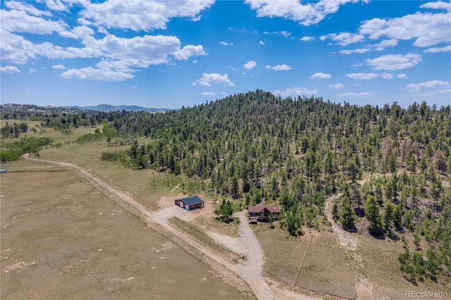 235 Aspen Ln, Hartsel, CO 80449 - photo 30