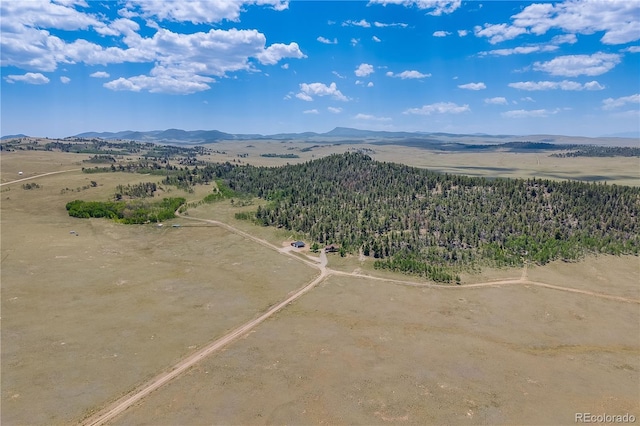 235 Aspen Ln, Hartsel, CO 80449 - photo 31