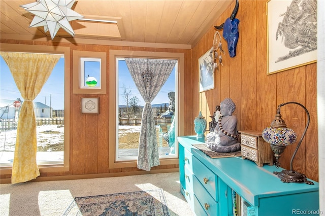 entryway featuring carpet floors, wooden walls, and wooden ceiling