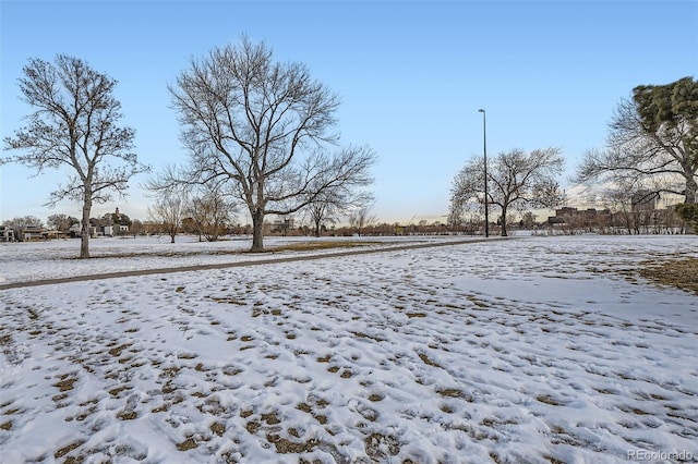 view of yard covered in snow