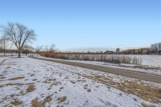 view of yard layered in snow