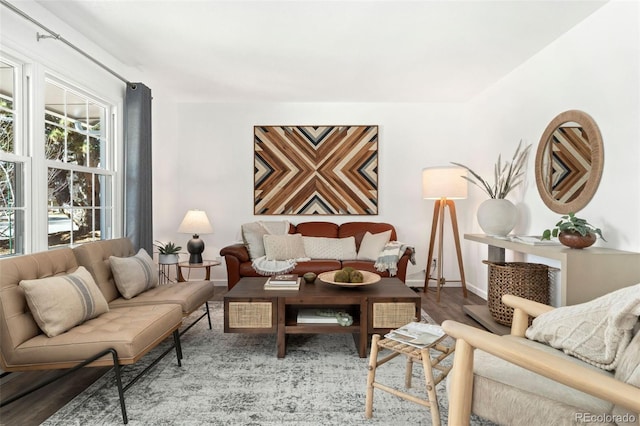 living area featuring wood-type flooring