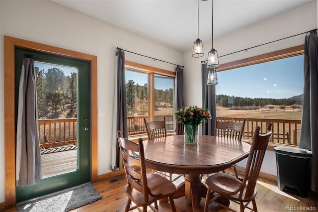 1740 County Road 72, Bailey, CO 80421 - dining room with light wood finished floors