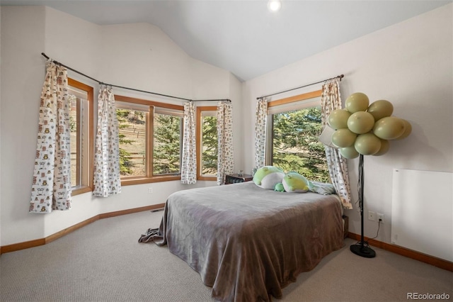 1740 County Road 72, Bailey, CO 80421 - carpeted bedroom with lofted ceiling and baseboards