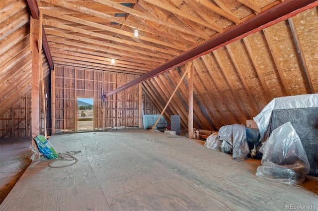 1740 County Road 72, Bailey, CO 80421 - view of unfinished attic