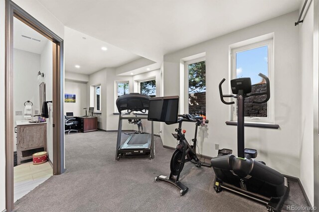 1287 Buffalo Ridge Rd, Castle Pines, CO 80108 - workout room featuring recessed lighting, carpet floors, and baseboards