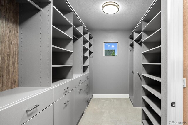 3439 Uinta St, Denver, CO 80238 - view of spacious closet