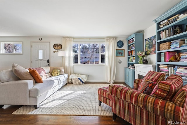 living area with baseboards, wood finished floors, and a fireplace