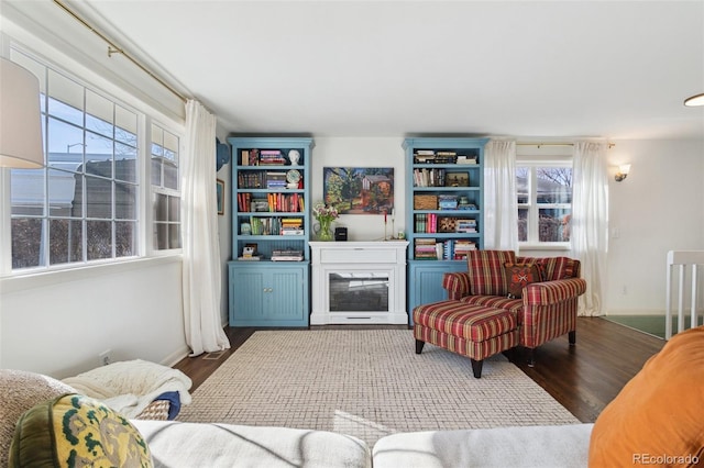 living area featuring baseboards, wood finished floors, and a fireplace