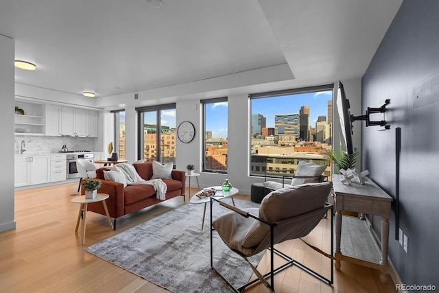 living room featuring light wood-type flooring, a skyline view, and baseboards