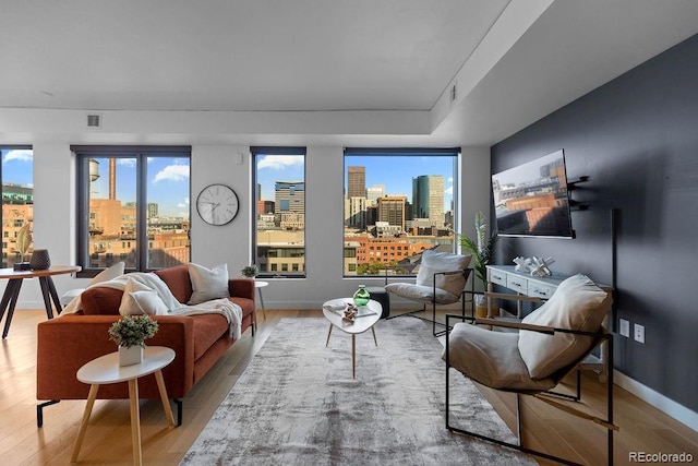 living area featuring wood finished floors, healthy amount of natural light, and baseboards