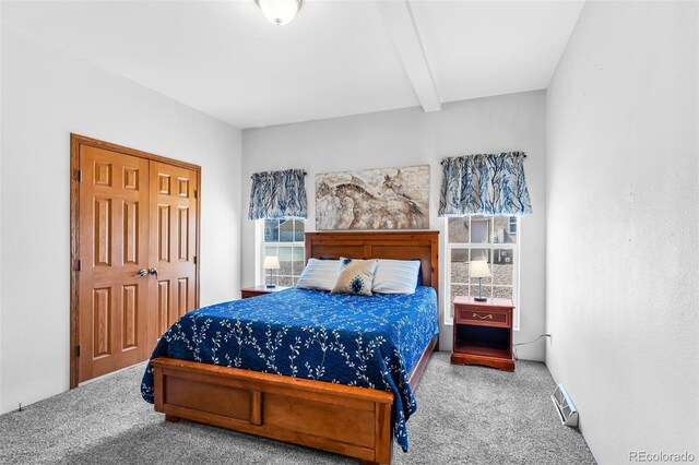 311 Bellows Ct, Canon City, CO 81212 - photo 13