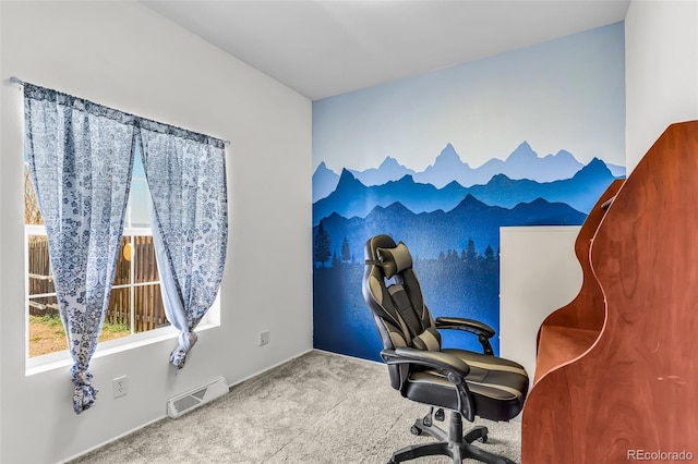 311 Bellows Ct, Canon City, CO 81212 - photo 15