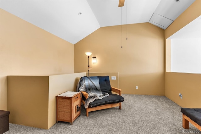 311 Bellows Ct, Canon City, CO 81212 - photo 20