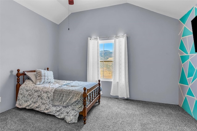 311 Bellows Ct, Canon City, CO 81212 - photo 21
