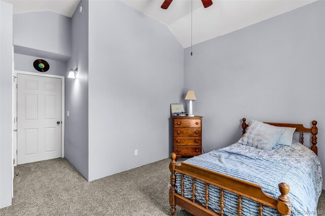 311 Bellows Ct, Canon City, CO 81212 - photo 22