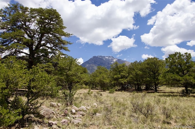 798 Panorama Way, Crestone, CO 81131