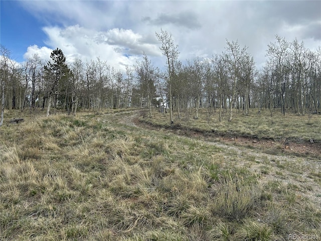386 Hereford Dr, Hartsel, CO 80449