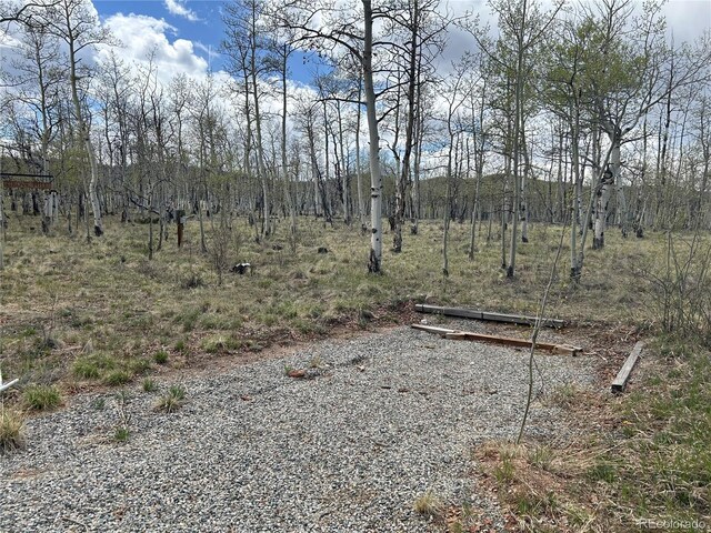 386 Hereford Dr, Hartsel, CO 80449