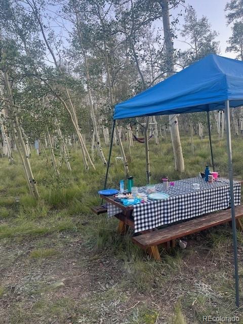 386 Hereford Dr, Hartsel, CO 80449
