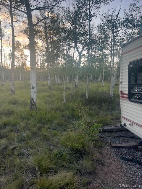386 Hereford Dr, Hartsel, CO 80449