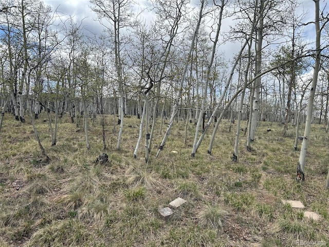 386 Hereford Dr, Hartsel, CO 80449