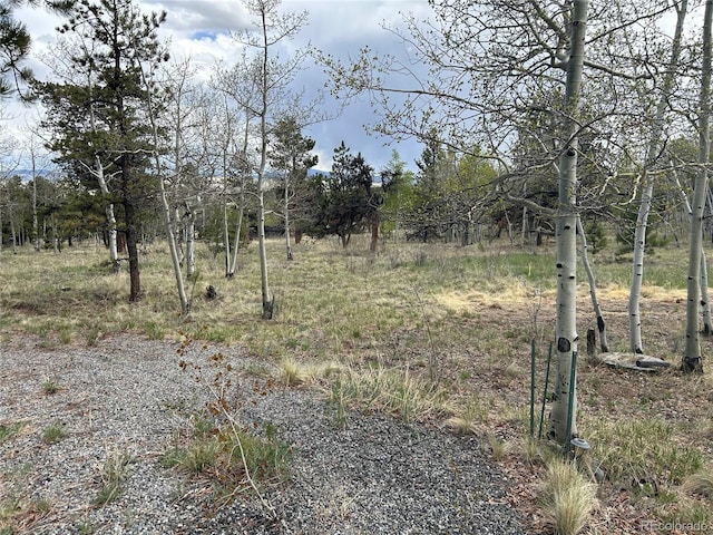 386 Hereford Dr, Hartsel, CO 80449