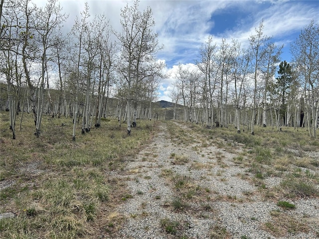 386 Hereford Dr, Hartsel, CO 80449