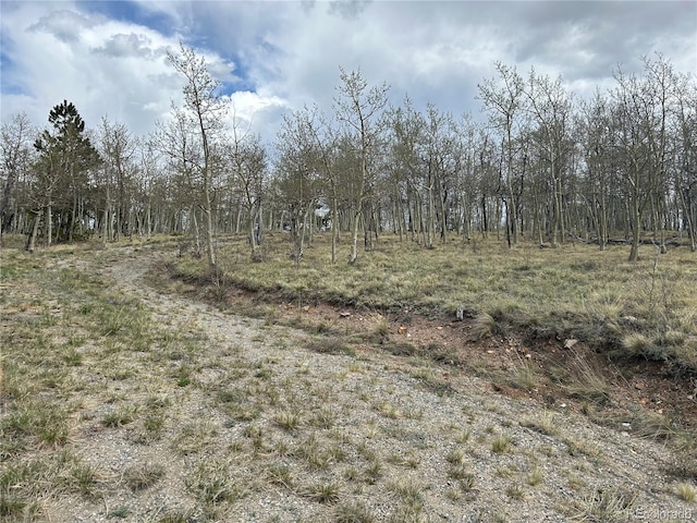 386 Hereford Dr, Hartsel, CO 80449