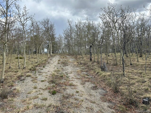 386 Hereford Dr, Hartsel, CO 80449