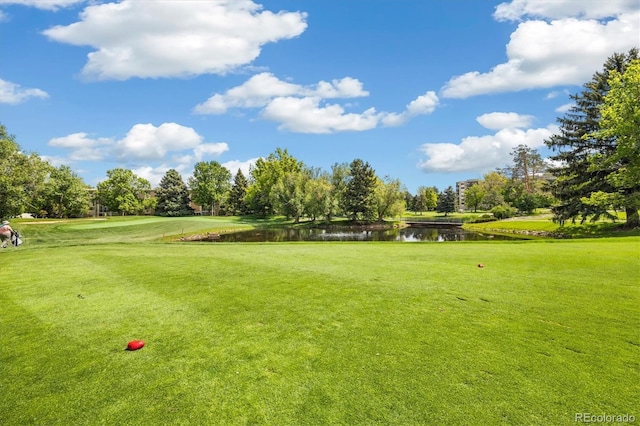3082 S Wheeling Way Unit 202, Aurora, CO 80014 - surrounding community with a water view, view of wooded area, and a yard