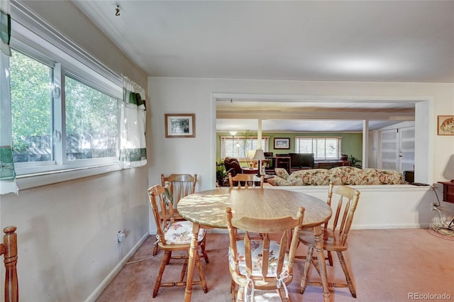 16670 County Road 126, Pine, CO 80470 - carpeted dining room featuring baseboards