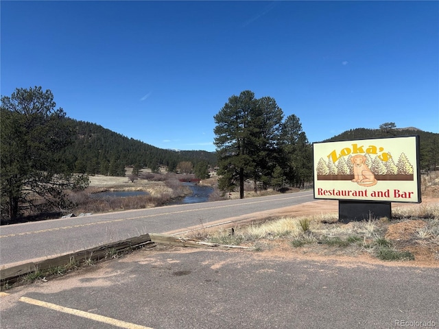 16670 County Road 126, Pine, CO 80470 - view of asphalt street featuring a view of trees