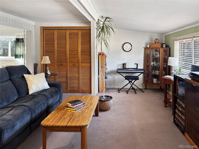 16670 County Road 126, Pine, CO 80470 - carpeted living area featuring ornamental molding