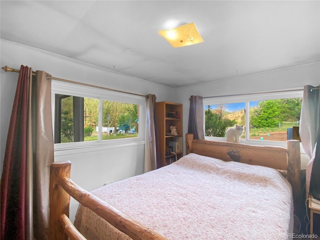 16670 County Road 126, Pine, CO 80470 - bedroom featuring multiple windows